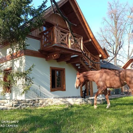 Отель Gniazdo W Parku Wasniow Экстерьер фото