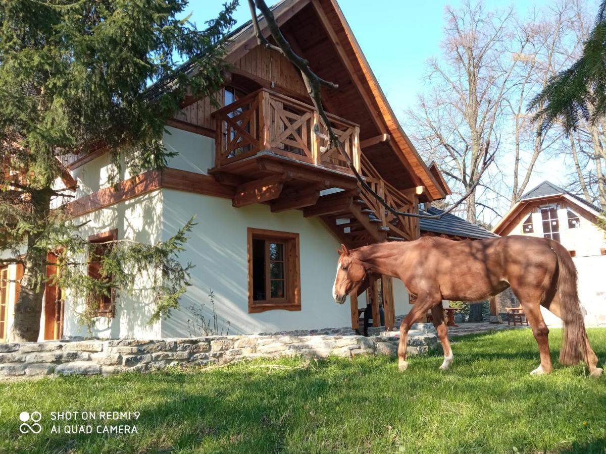 Отель Gniazdo W Parku Wasniow Экстерьер фото