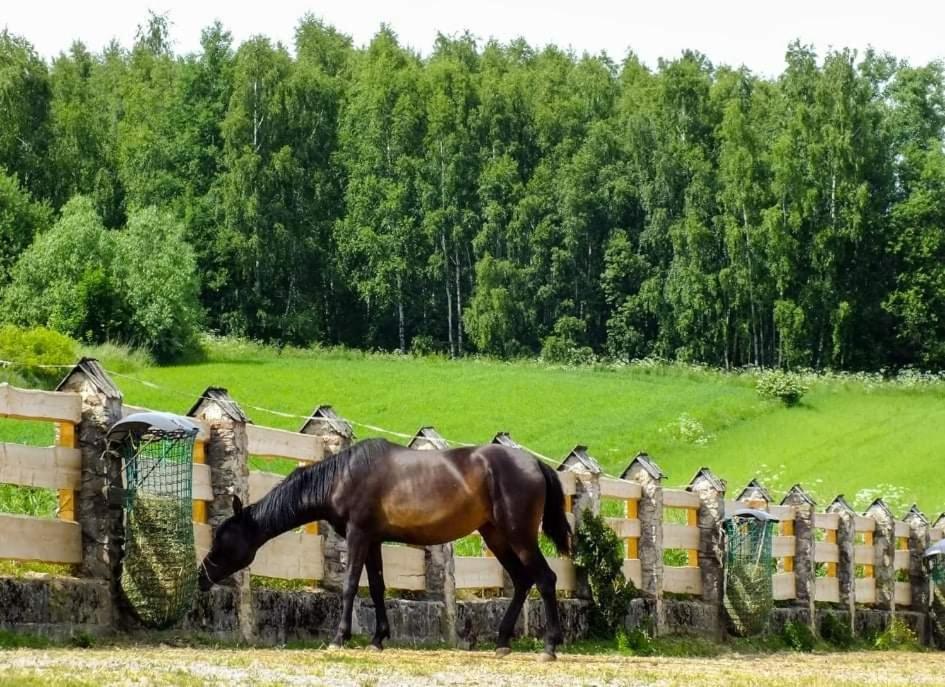 Отель Gniazdo W Parku Wasniow Экстерьер фото